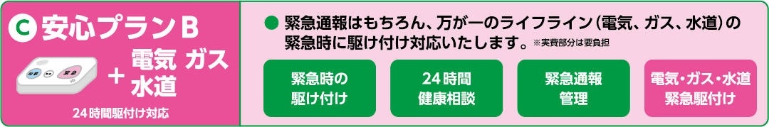 安心プランB